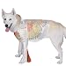 Rubie's Elvis Dog Costume - Medium