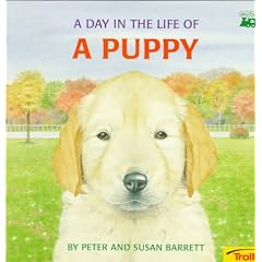 A Day in the Life of a Puppy