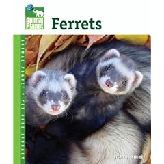 Ferrets (Animal Planet Pet Care Library)