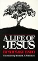 A Life of Jesus