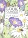 Book Look Closer:An Intro Bug Watch