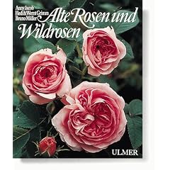 Alte Rosen und Wildrosen