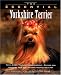 The Essential Yorkshire Terrier (Howell Book House's Essential)