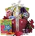 Great Arrivals Kid's Birthday Basket for Girls Ages 9 to 12, Fabulous Me