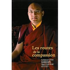 Les routes de la compassion