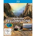 Yellowstone - Legend�re Wildnis [Blu-ray]