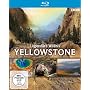 Yellowstone - Legend�re Wildnis [Blu-ray]