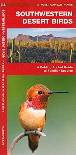 Southwestern Desert Birds: An Introduction to Familiar Species
