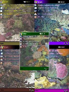 Coral Pocket PC 2002 Theme Pack 2