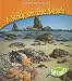 Search : A Walk on the Beach (Nature Detectives)