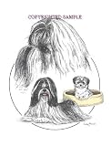 Shih Tzu - Trio Image by Cindy Farmer