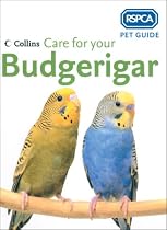 Care for Your Budgerigar (RSPCA Pet Guide)