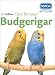 Care for Your Budgerigar (RSPCA Pet Guides)