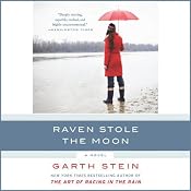 Raven Stole the Moon: A Novel | [Garth Stein]