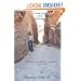 Closing the Chasm: Letters from a Bipolar Physician to His Son