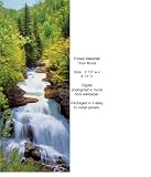 IDEALDECOR WALL MURALS & DOOR MURALS Wallpaper -526 Wallpaper