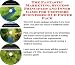 The Fantastic Marketing, Success Principles and Inner Game for Teethers Businesses 3 CD Power Pack