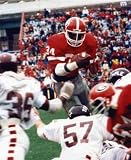 HERSCHEL WALKER GEORGIA BULLDOGS 8X10 SPORTS ACTION PHOTO (2)