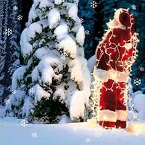 Help the Hospices Charity Santa Christmas Cards - Dressed to Impress (Pack of 8)