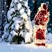 Help the Hospices Charity Santa Christmas Cards - Dressed to Impress (Pack of 8)