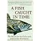Popular Natural History - Animal Biology