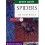 Spiders of Australia (Green Guides)