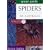 Spiders of Australia (Green Guides)