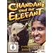 Chandani und ihr Elefant
