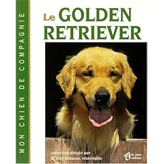 Le golden retriever