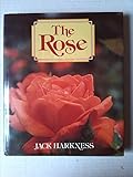 The rose