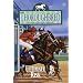 Ultimate Risk (Thoroughbred Series #40)