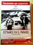 - Stranger Than Paradise (Extranos En El Paraiso) [Ntsc/Region 4 dvd. Import - Latin America] Jim Jarmusch (Spanish Subtitles)