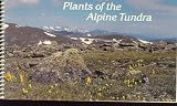 Plants of the Alpine Tundra
