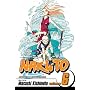 Naruto - Volume 6