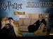 Harry Potter Micro Rashel Comfy Throw Blanket with Sleeves