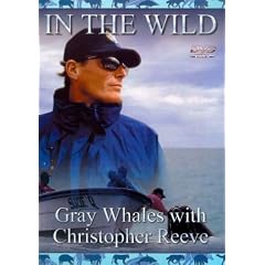 In The Wild - Grey Whales With Christopher Reeve [1998] [DVD]