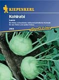 Eigenschaften Kiepenkerl - Gemüse-Saatgut  / Kohlrabi Lanro weiss auch fürs Treibhaus