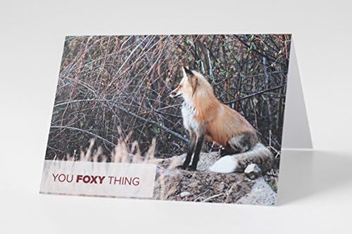 Outdoor photography valentines day cards ("You Foxy Thing")