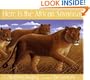 Here is the African Savanna
