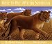 Book Here is the African Savanna