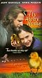 Fly Away Home (Slip) [VHS]