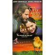 Fly Away Home