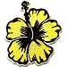 Yellow Hibiscus