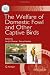 The Welfare of Domestic Fowl and Other Captive Birds (Animal Welfare)