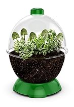 WonderBubble - Green
