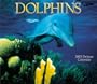Dolphins Deluxe Wall Calendar
