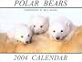 Polar Bear 2004 Calendar