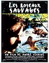Les Roseaux Sauvages