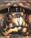 Turtles (First Books - Animals)