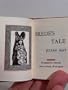 Brede's Tale from The Saga of Pliocene Exile